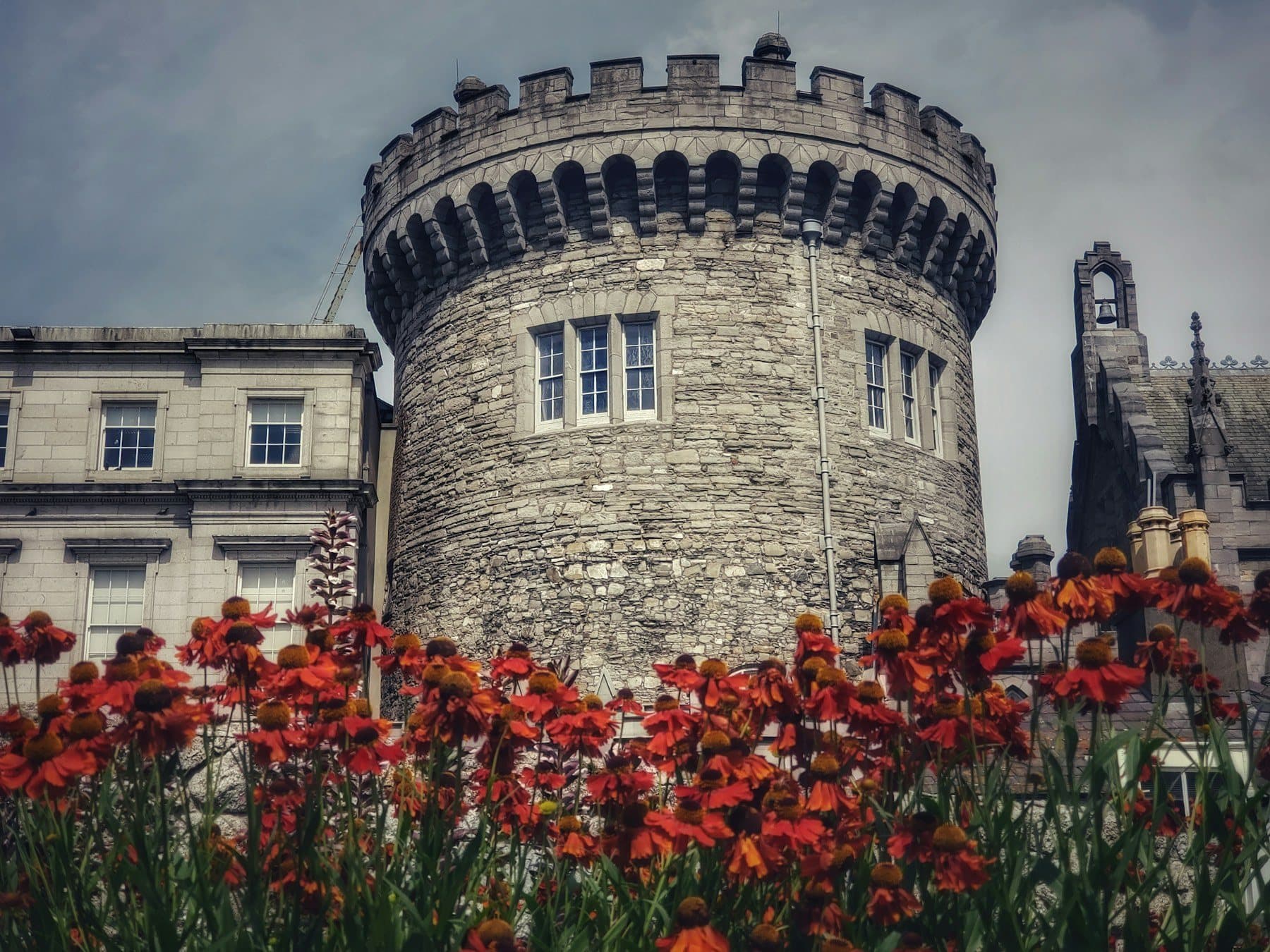 The Record Tower at Dublin Castle with red poppies in the foreground